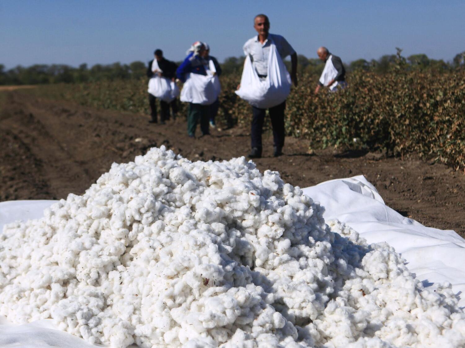 Рост продукции АПК Азербайджана